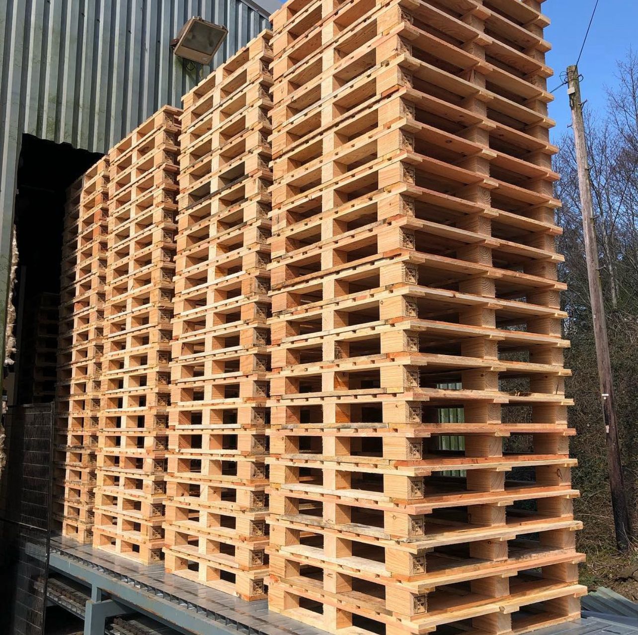 Wood Pallet